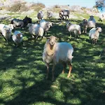 Pagorriaga Kır Evi