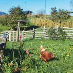Kır Evi Pagorriaga *