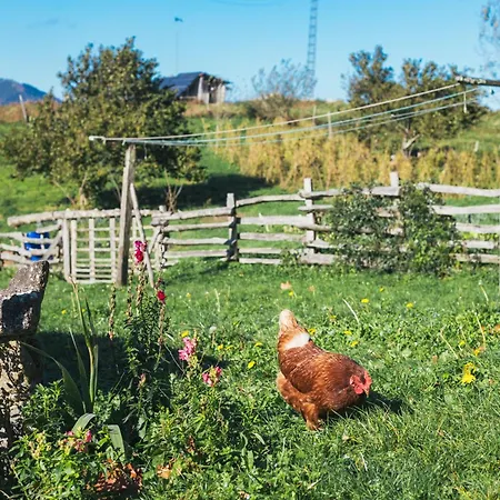 Pagorriaga * Beasain