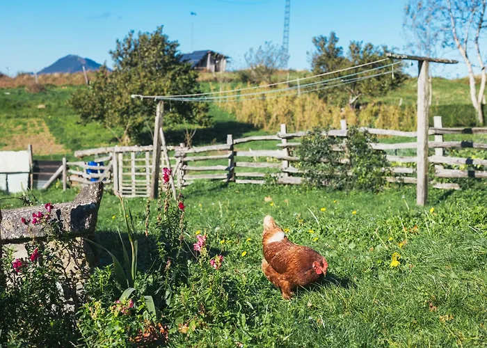 Pagorriaga * Beasain